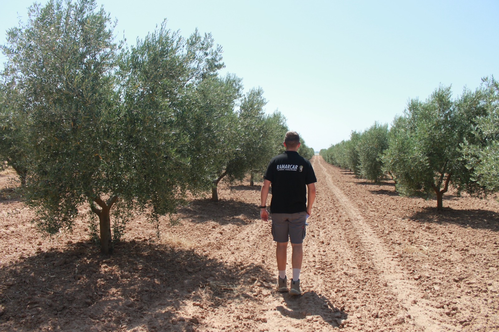 Ramarcar Agro — Agricultura