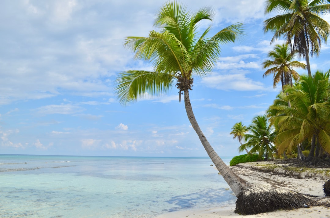 Paquetes al Caribe (Todo Incluido) — BRITO GLOBAL TRAVEL